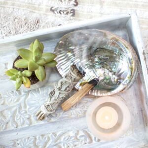 Abalone Shell